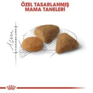 3. görsel