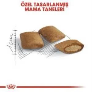 3. görsel