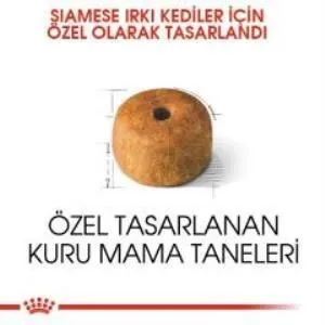 3. görsel