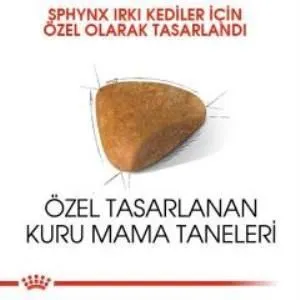 4. görsel