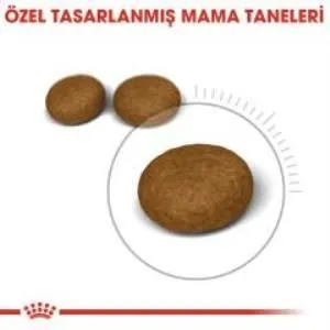 3. görsel