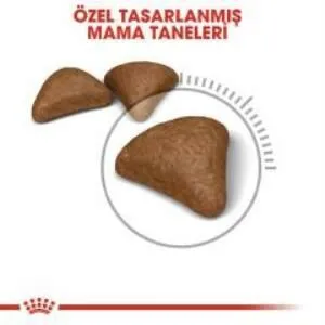 3. görsel