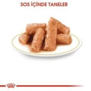 4. görsel