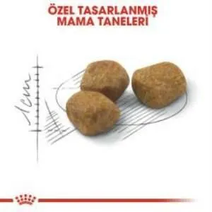 3. görsel