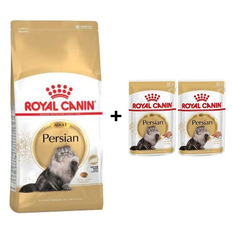 Royal Canin Persian Yetişkin Kedi Maması 4 Kg + 2 Adet Yaş Mama Hediye