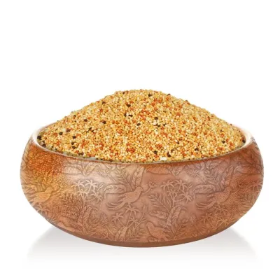 2. görsel