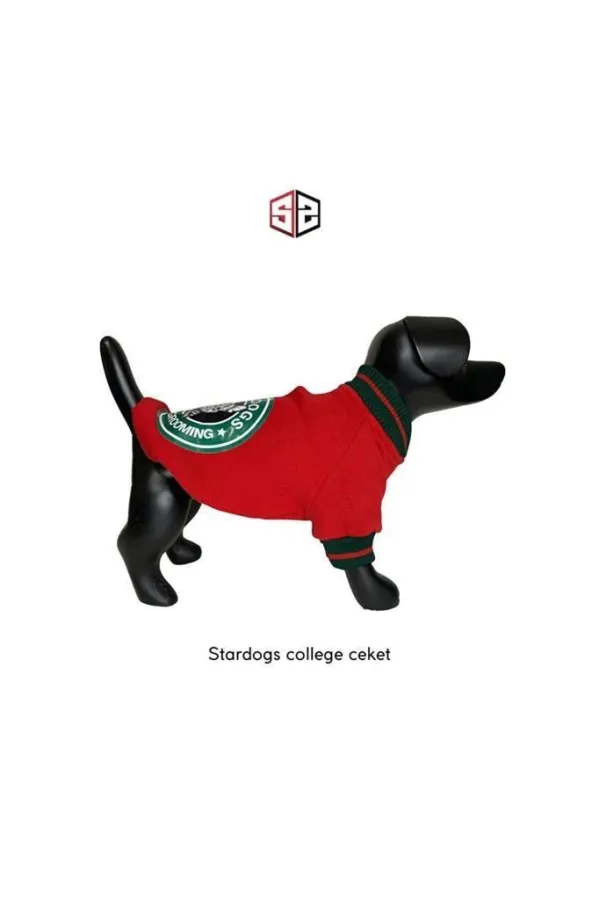 Stardogs College Ceket Köpek Kıyafeti