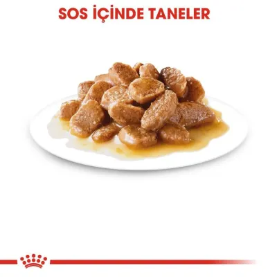 3. görsel