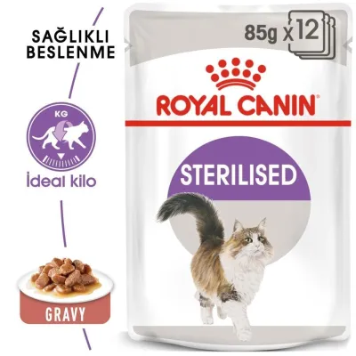 2. görsel