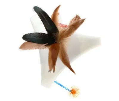 2. görsel