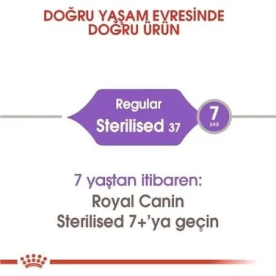 4. görsel