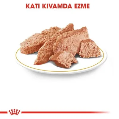 3. görsel