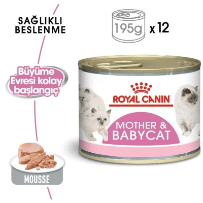 2. görsel
