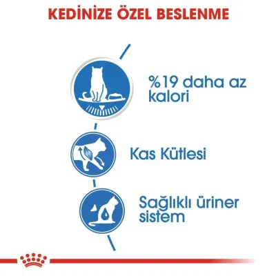 4. görsel