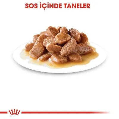 3. görsel