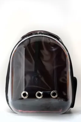 1. görsel