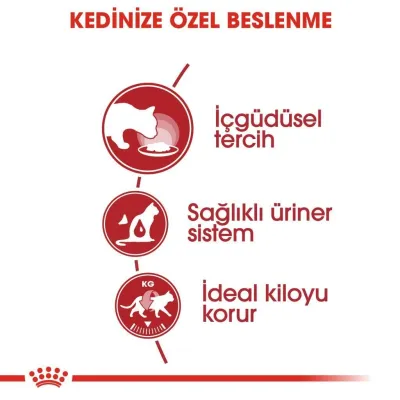 4. görsel