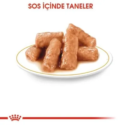3. görsel