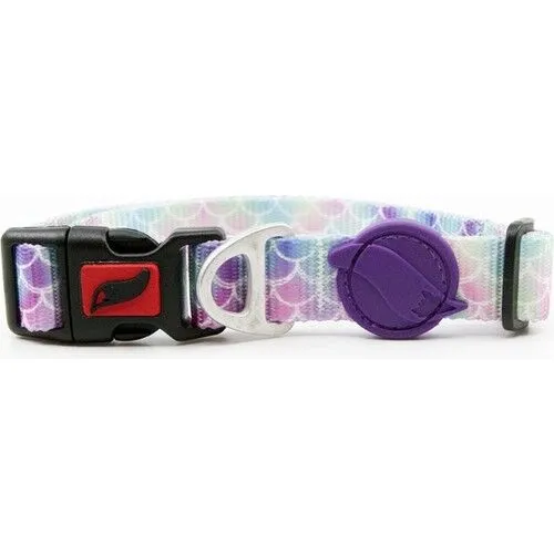 Tailpetz Bubbles Boyun Tasması (Medium)