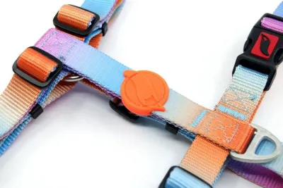 2. görsel