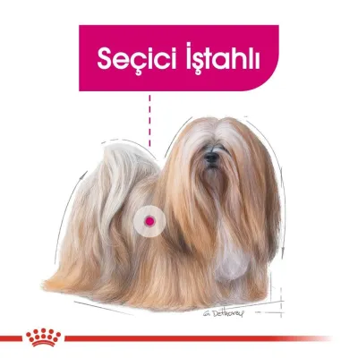 4. görsel