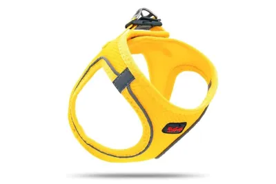 1. görsel