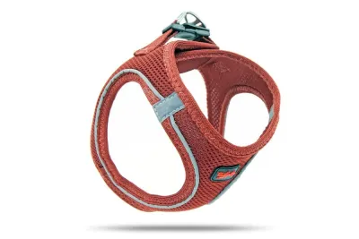 1. görsel
