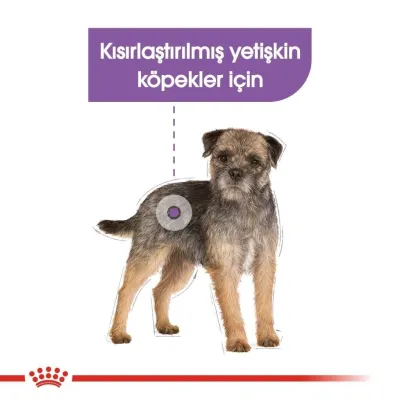 4. görsel