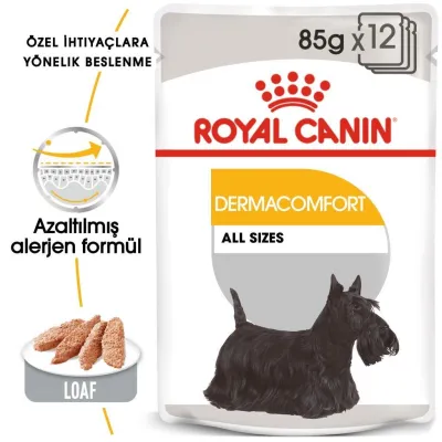 2. görsel