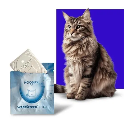 1. görsel