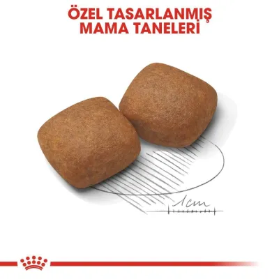 3. görsel