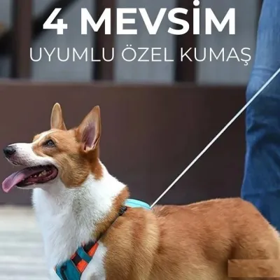 3. görsel