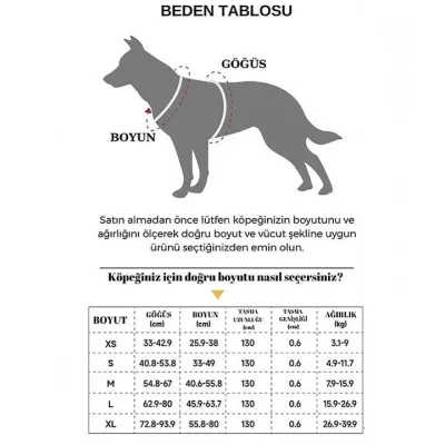 2. görsel