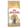 Royal Canin British Shorthair Yetişkin Kedi Maması 2 kg