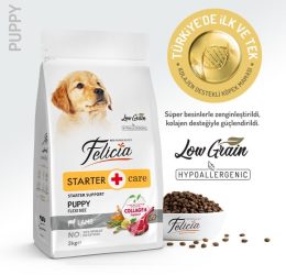 Felicia Tüm Irklar İçin Kuzulu Yavru Köpek Maması 3 kg