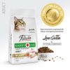 Felicia Tavuklu Yetişkin Kedi Maması 2 kg
