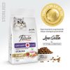 Felicia Kısırlaştırılmış  Somonlu Kedi Maması 2 kg