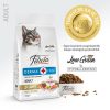 Felicia Somonlu Yetişkin Kedi Maması 2 kg