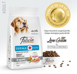 Felicia Somonlu Yetişkin Köpek Maması 3 kg