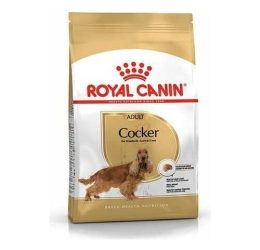 Royal Canin Cocker Yetişkin Köpek Maması 3 kg
