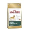Royal Canin Adult Golden Retriever Özel Köpek Maması 12 kg