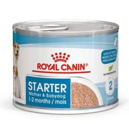 Royal Canin Starter Mousse Yavru Köpek Konservesi 195 Gr
