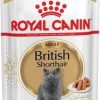 Royal Canin British Shorthair Yaş Kedi Maması 85 Gr