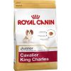 Royal Canin Cavalier King Charles Yavru köpek Maması 1,5 kg