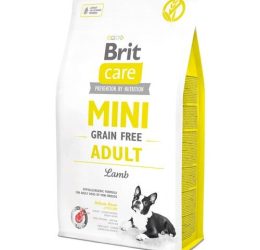 Brit Care Kuzu Etli Tahılsız Küçük Irk Köpek Maması 2 Kg