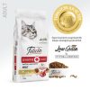 Felicia Kuzulu Yetişkin Kedi Maması 12 Kg