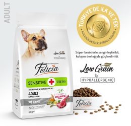 Felicia Küçük ve Orta Irk Kuzulu Yetişkin Köpek Maması 3 kg