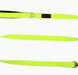 Tailpetz Neo Lime Köpek Gezdirme Tasması Medium