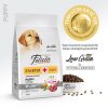 Felicia Tüm Irklar İçin Kuzulu Yavru Köpek Maması 6 Kg