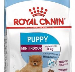 Royal Canin Mini İndoor Puppy Köpek Maması 1,5 kg